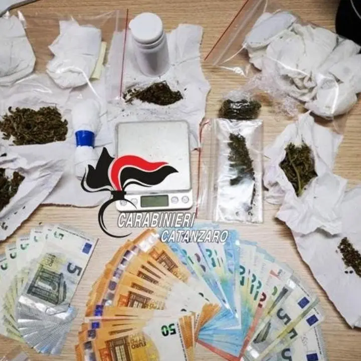 In casa 60 grammi di marijuana e più di mille euro in contanti: arrestato 29enne nel Catanzarese