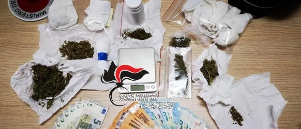 In casa 60 grammi di marijuana e più di mille euro in contanti: arrestato 29enne nel Catanzarese