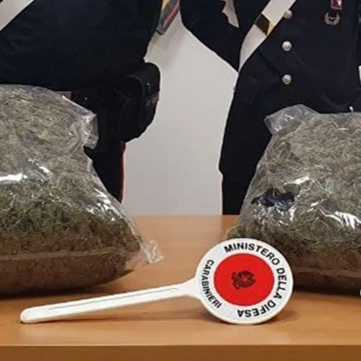 Due arresti nel Reggino e sei chili di marijuana sequestrati, una parte era nascosta nella lavatrice