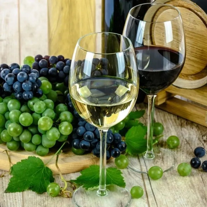 San Giovanni in Fiore, il vino calabrese “Cinurio” sul podio dei migliori novelli al Salone nazionale