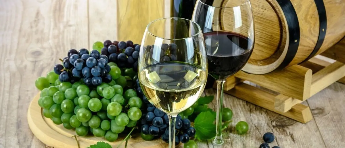 San Giovanni in Fiore, il vino calabrese “Cinurio” sul podio dei migliori novelli al Salone nazionale