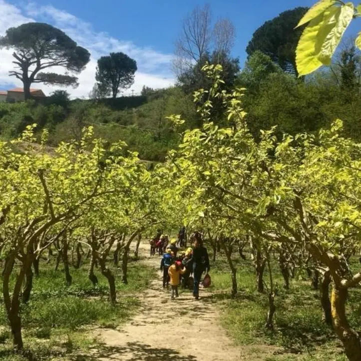 Ritornano in Calabria per produrre seta, a San Floro la scommessa vincente di tre giovani