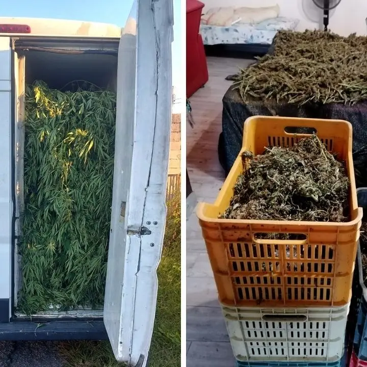 Spaccio di droga, quattro persone arrestate nel Reggino per un carico di 70 chili di marijuana
