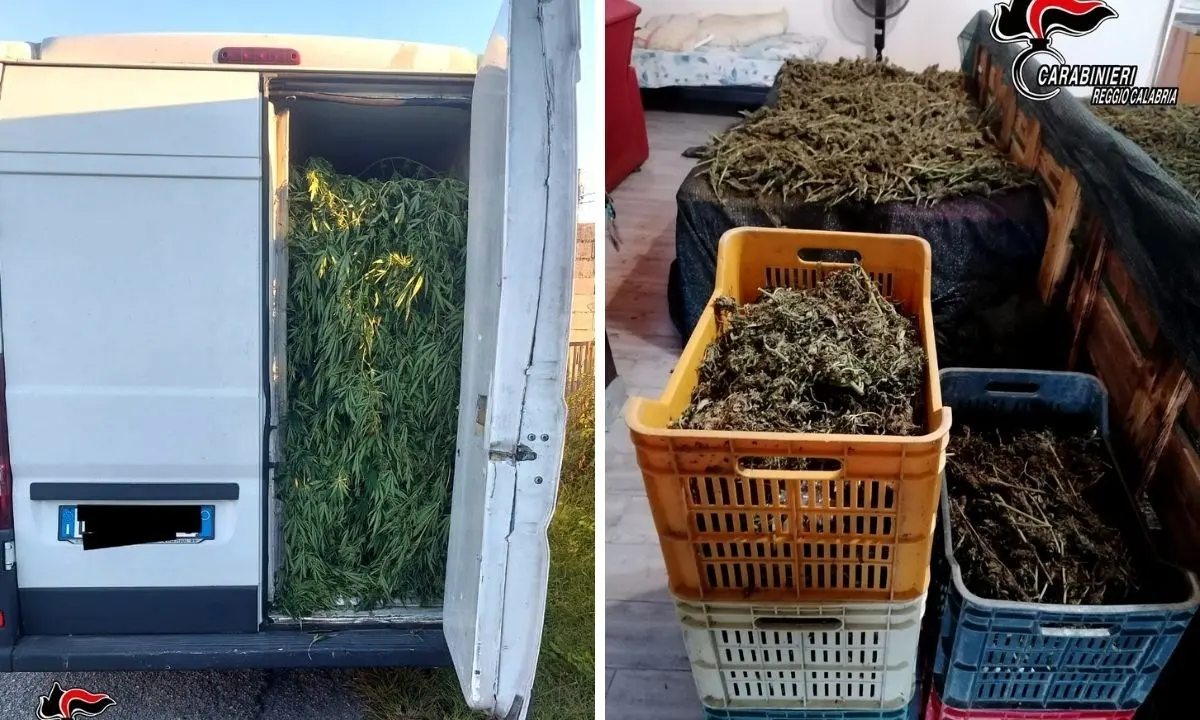 Spaccio di droga, quattro persone arrestate nel Reggino per un carico di 70 chili di marijuana