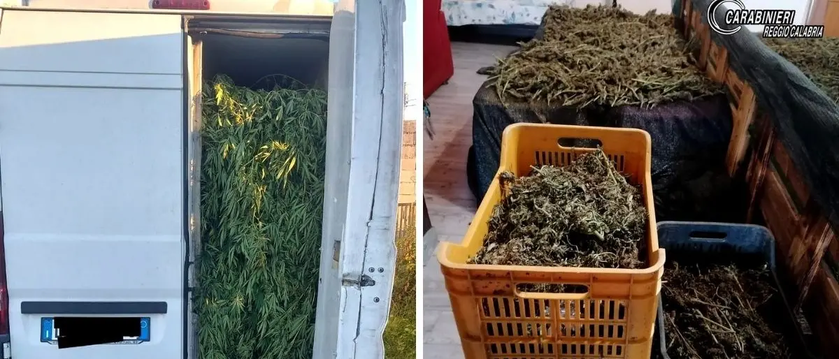 Spaccio di droga, quattro persone arrestate nel Reggino per un carico di 70 chili di marijuana