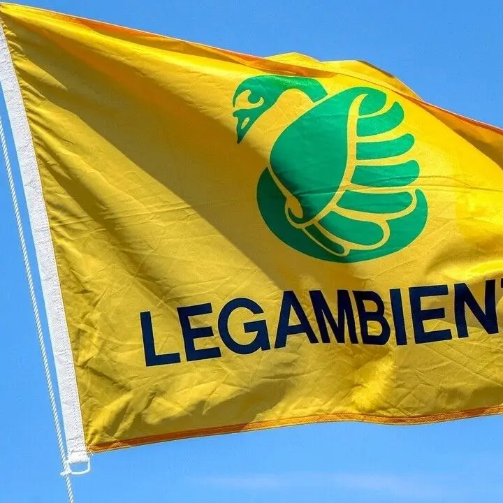 Festa dell’albero 2021: tutte le iniziative organizzate da Legambiente Calabria a partire dal 19 novembre