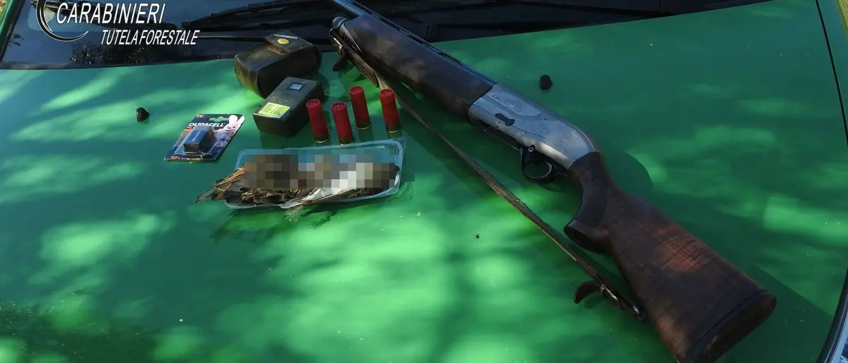 Abbatte selvaggina protetta, denunciato un cacciatore nel Crotonese