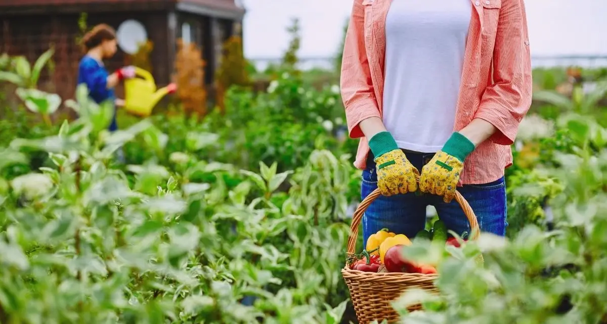 Permessi di soggiorno pilotati, un filone dell’inchiesta approda a Castrovillari\n