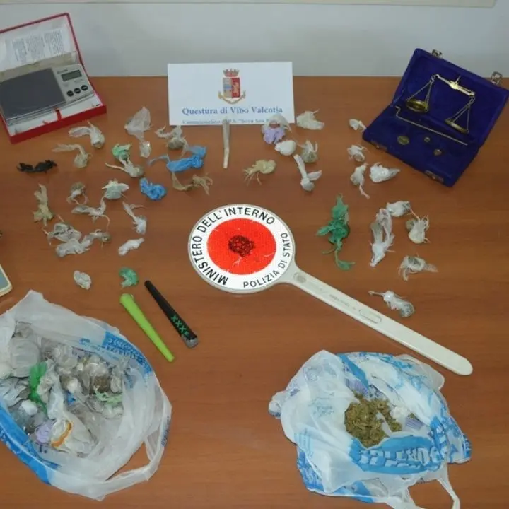 Spaccio di droga, in casa aveva 114 grammi di marijuana: arrestato 52enne nel Vibonese