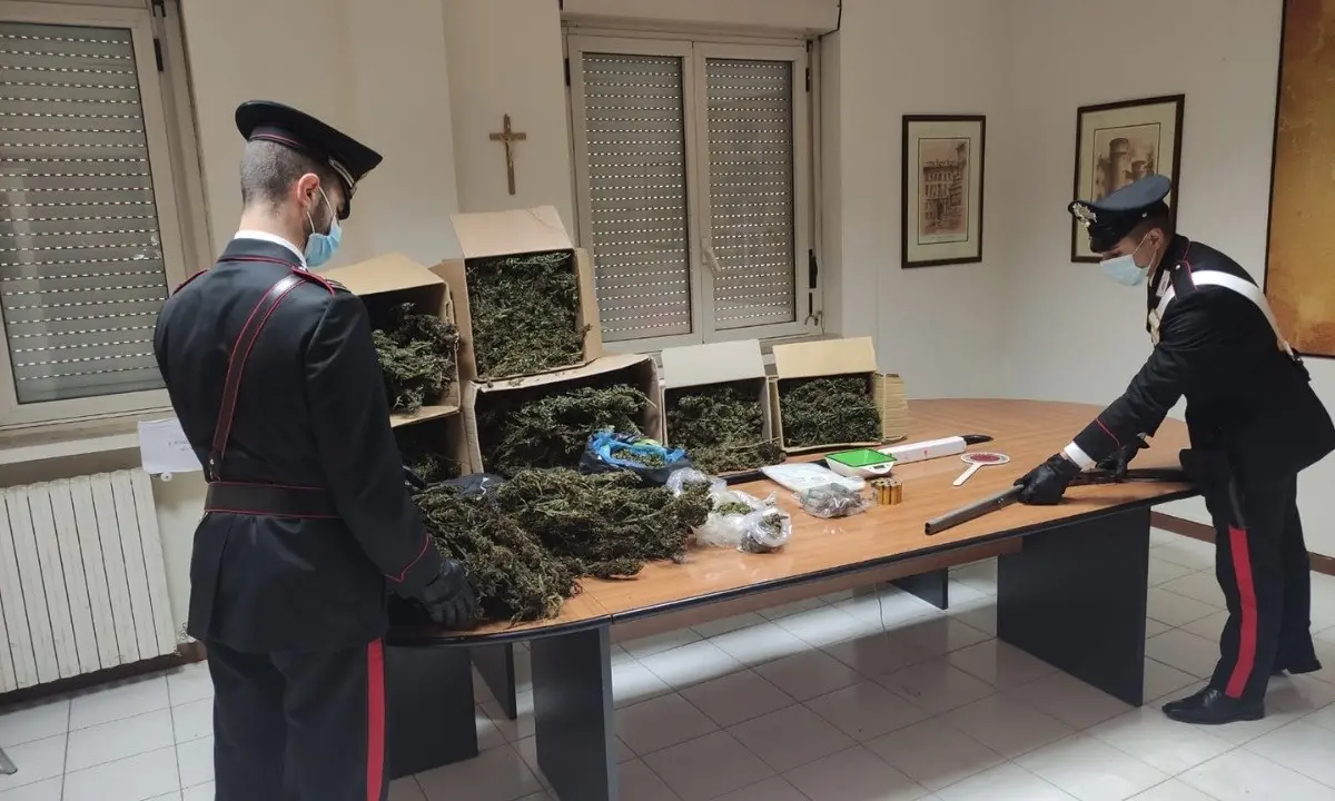 Detenzione e spaccio di droga, due arresti nel Catanzarese: rinvenuti 20 kg di marijuana