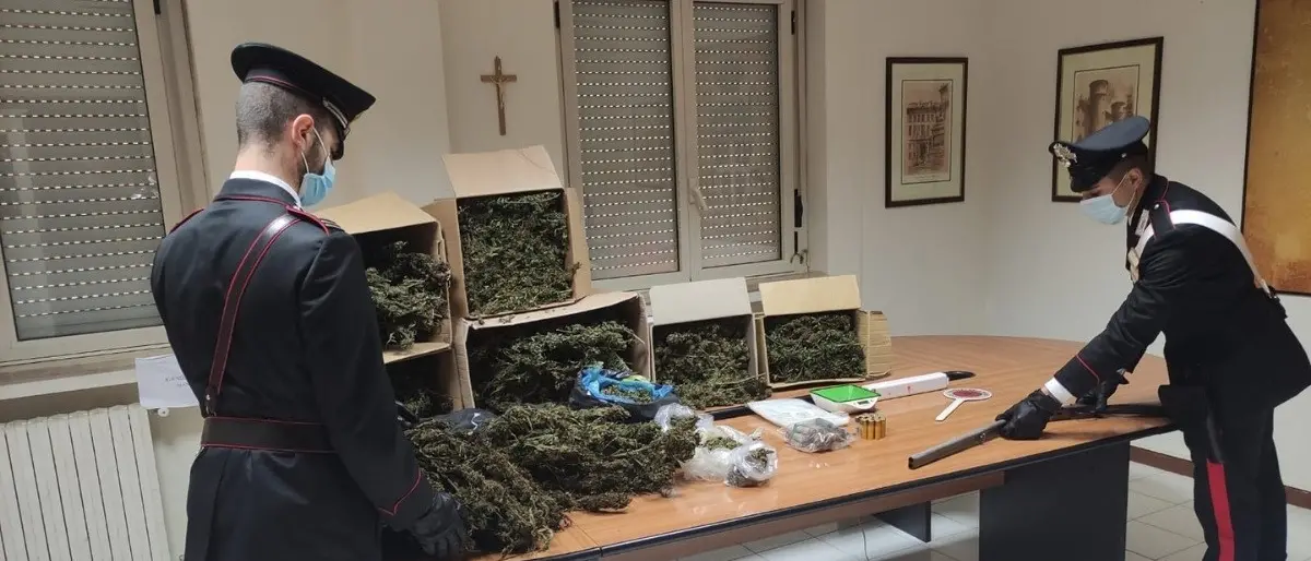 Detenzione e spaccio di droga, due arresti nel Catanzarese: rinvenuti 20 kg di marijuana