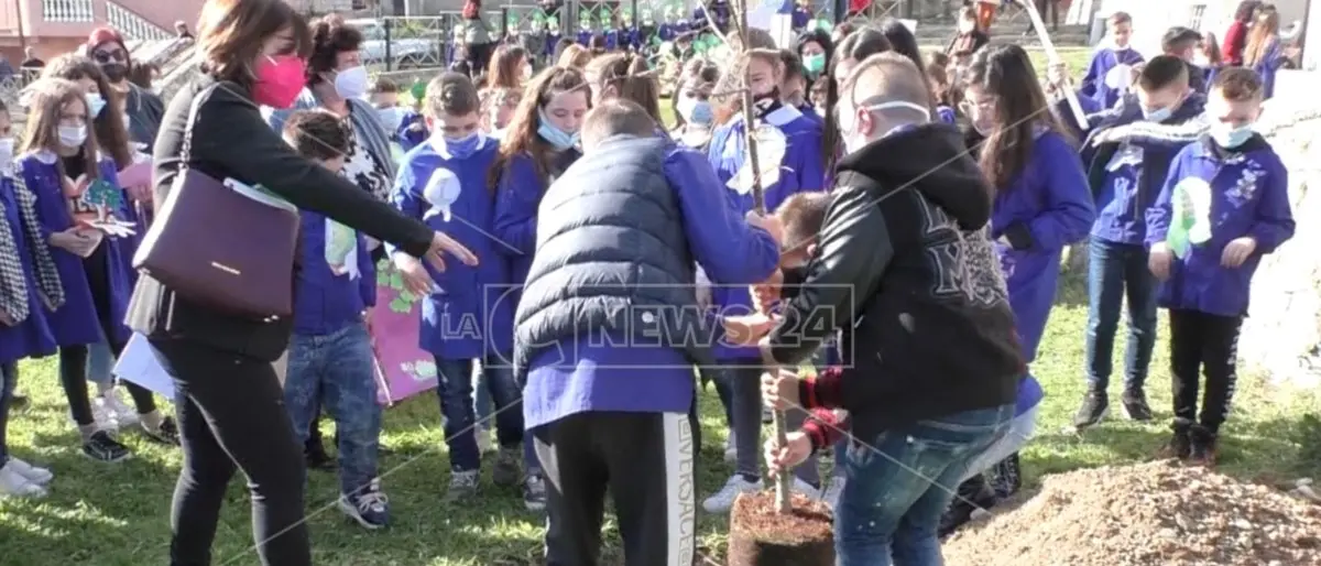 L’Aspromonte devastato dagli incendi riparte da un albero piantato dagli studenti