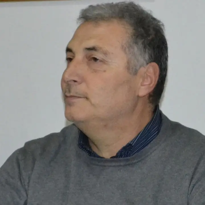 Dopo la lite nel Pd, Reale: «Io e Graziano vogliamo il congresso, chi provoca la rissa vuole impedirlo»