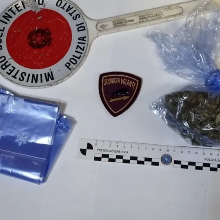 Crotone, vede la polizia e tenta di disfarsi della marijuana: arrestato 22enne