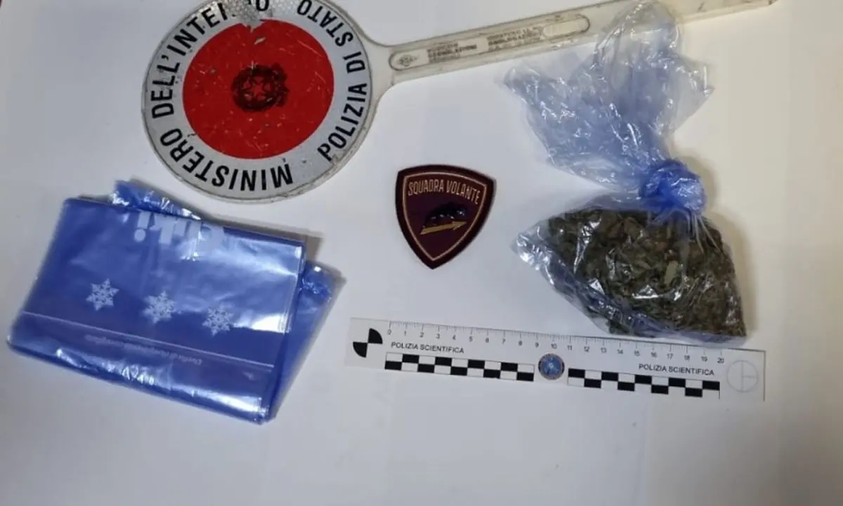 Crotone, vede la polizia e tenta di disfarsi della marijuana: arrestato 22enne