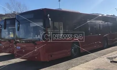 Cosenza, l’Amaco sull’orlo del fallimento: «Perdiamo circa 100mila euro al mese»