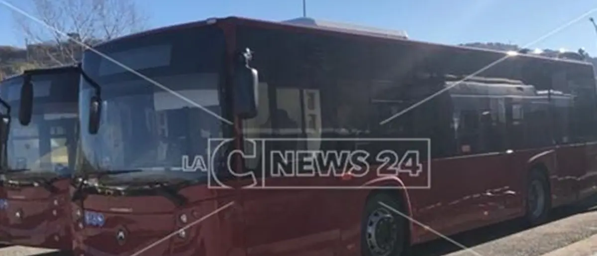 Cosenza, l’Amaco sull’orlo del fallimento: «Perdiamo circa 100mila euro al mese»