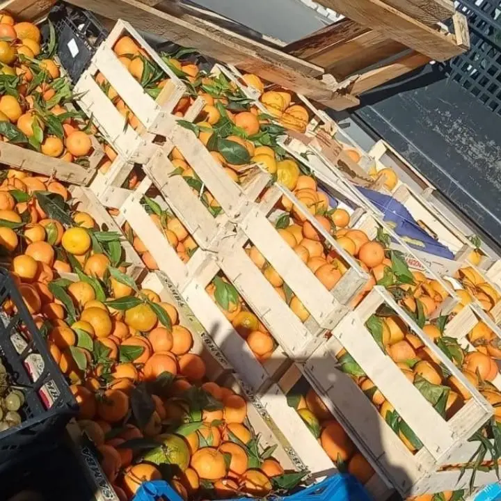 Sequestrati 600 chili di prodotti ortofrutticoli: donati in beneficienza