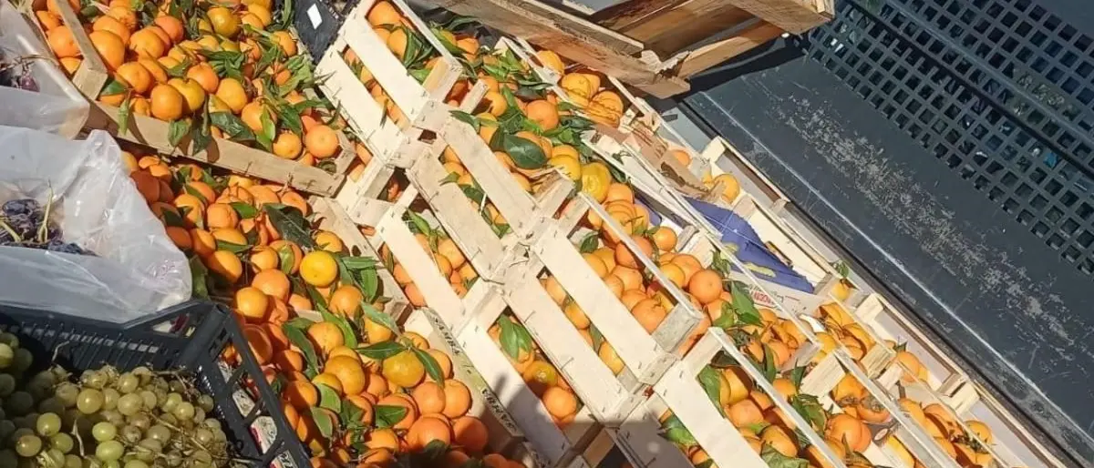 Sequestrati 600 chili di prodotti ortofrutticoli: donati in beneficienza