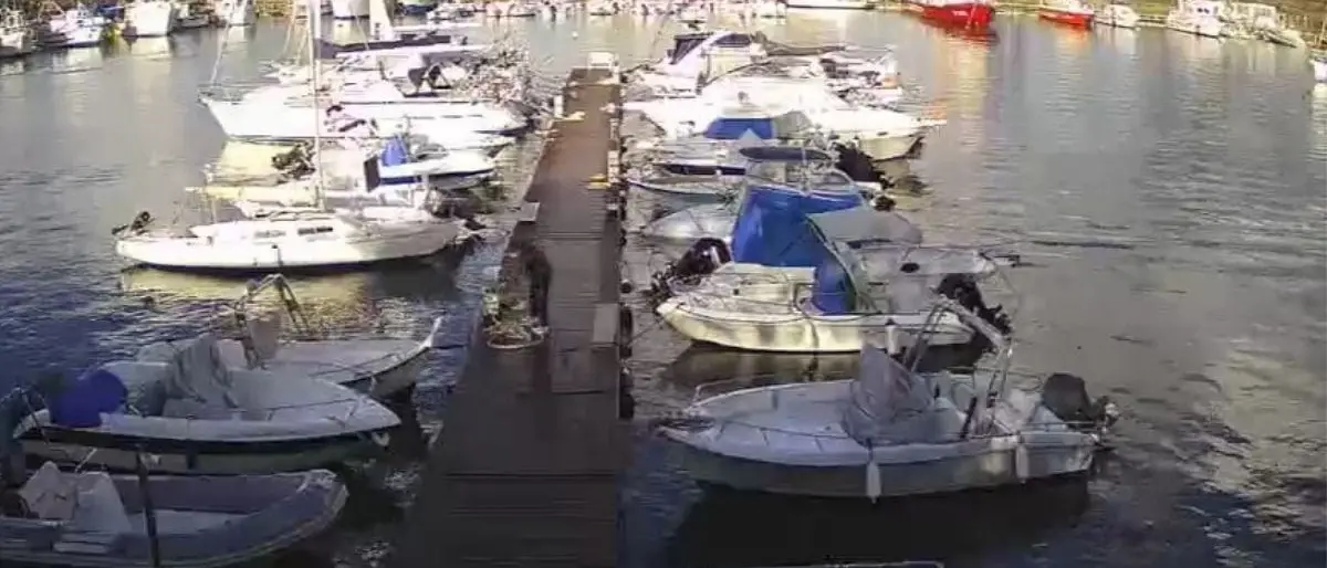 Ambiente, macchinario per la pulizia delle acque marine installato nei porti turistici di Gioia e Palmi