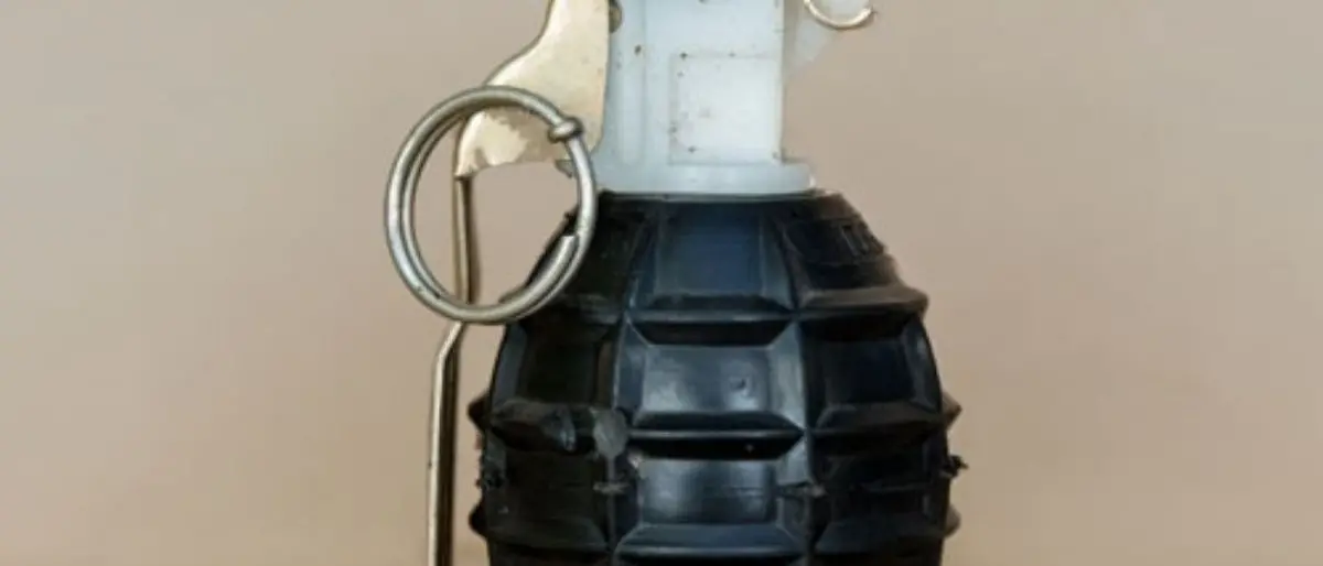 La bomba “ananas” che piace alla ‘ndrangheta di Taurianova: scoperta un anno fa anche a Brescia