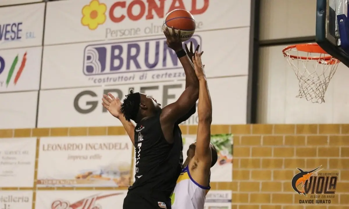 Viola Basket verso Sant’Antimo: punti playoff in palio al Palacalafiore di Reggio