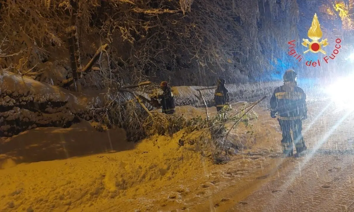 Nevicate in Sila, disagi sulla statale 107 per caduta alberi: ripristinata la circolazione