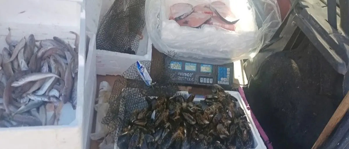 Isola Capo Rizzuto, sequestrati 15 kg di prodotti ittici: multato venditore ambulante
