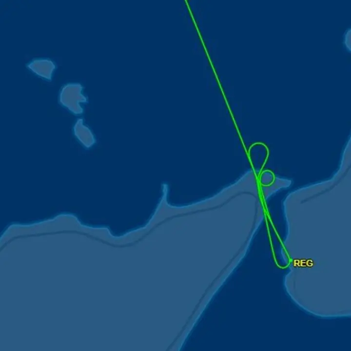 «C’è un cane sulla pista», l’aereo da Milano a Reggio Calabria costretto a interrompere l’atterraggio