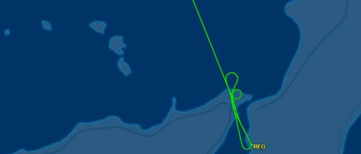 «C’è un cane sulla pista», l’aereo da Milano a Reggio Calabria costretto a interrompere l’atterraggio