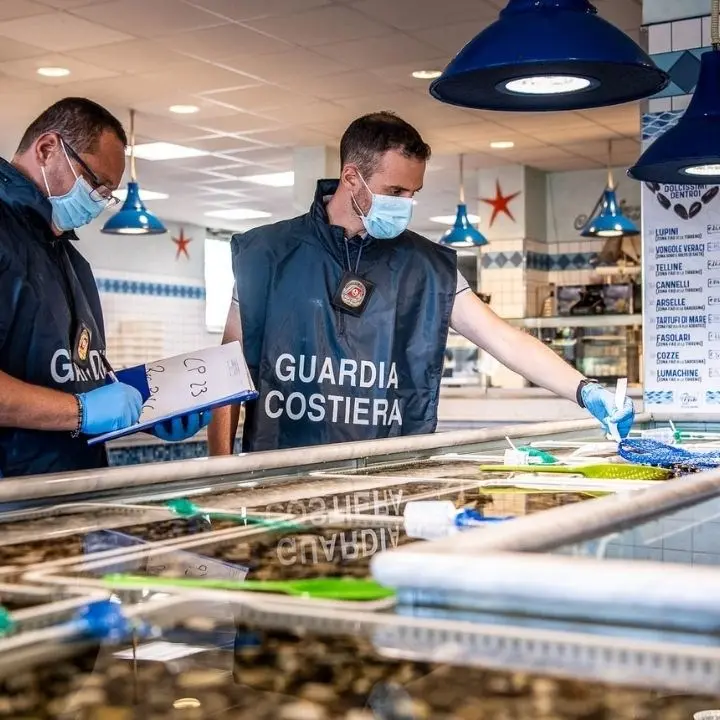 Oltre 4 tonnellate di pesce sequestrate in Calabria da inizio dicembre: il report