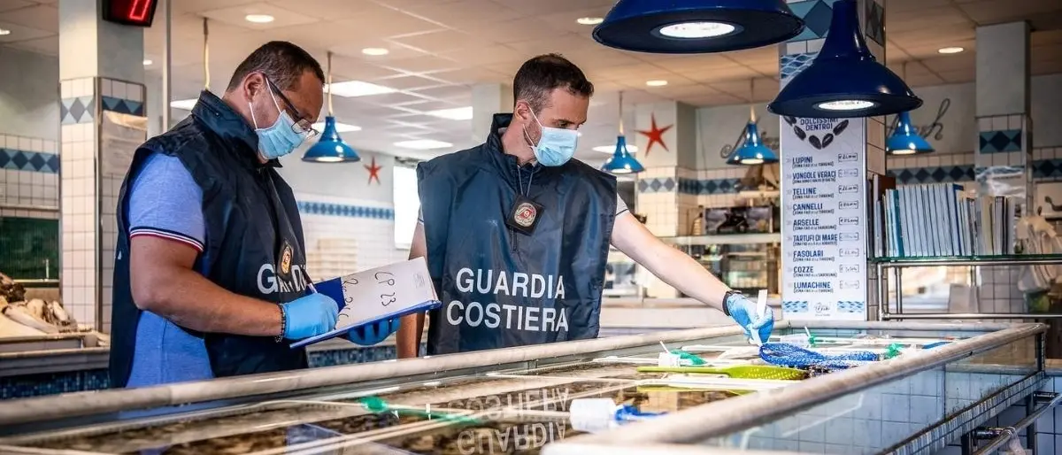 Oltre 4 tonnellate di pesce sequestrate in Calabria da inizio dicembre: il report