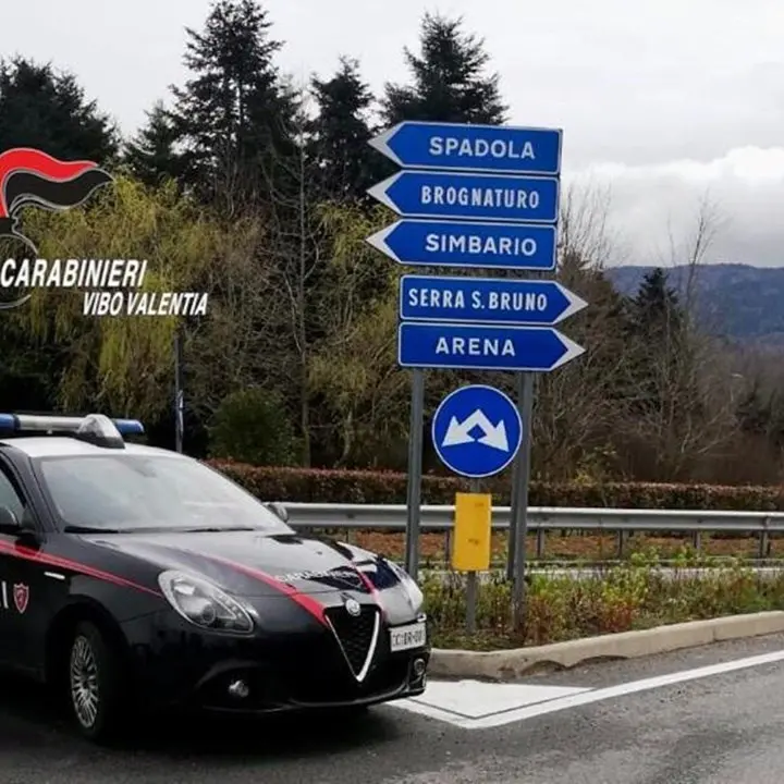 Incendio di un capannone agricolo di un consigliere comune del Vibonese: indagano i carabinieri