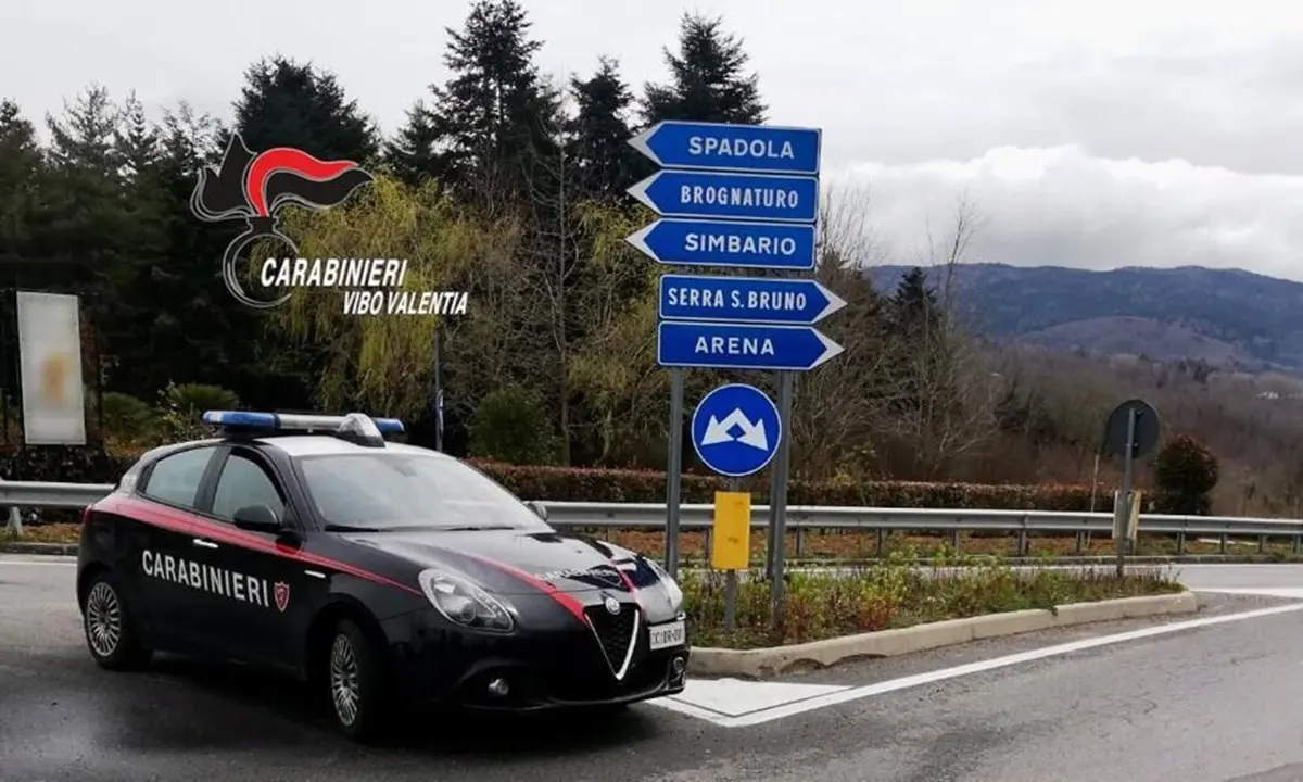 Incendio di un capannone agricolo di un consigliere comune del Vibonese: indagano i carabinieri