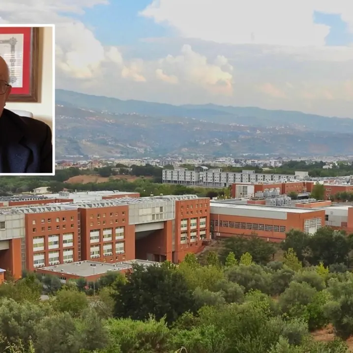 Unical, il docente che estrae fibre dalla ginestra: «Abbiamo trovato il metodo, ora tocca alle industrie»
