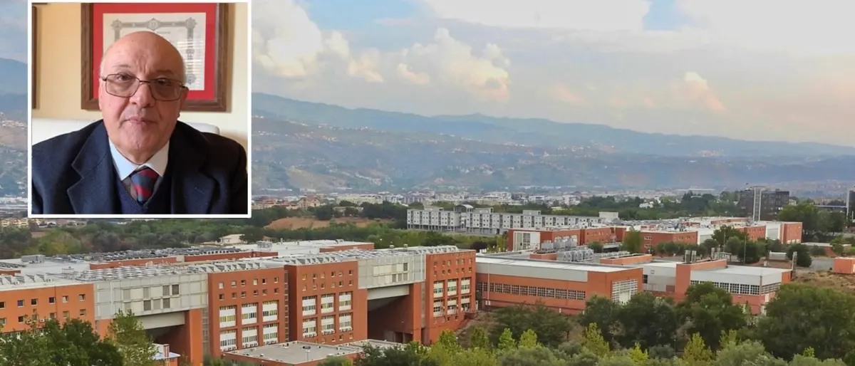 Unical, il docente che estrae fibre dalla ginestra: «Abbiamo trovato il metodo, ora tocca alle industrie»