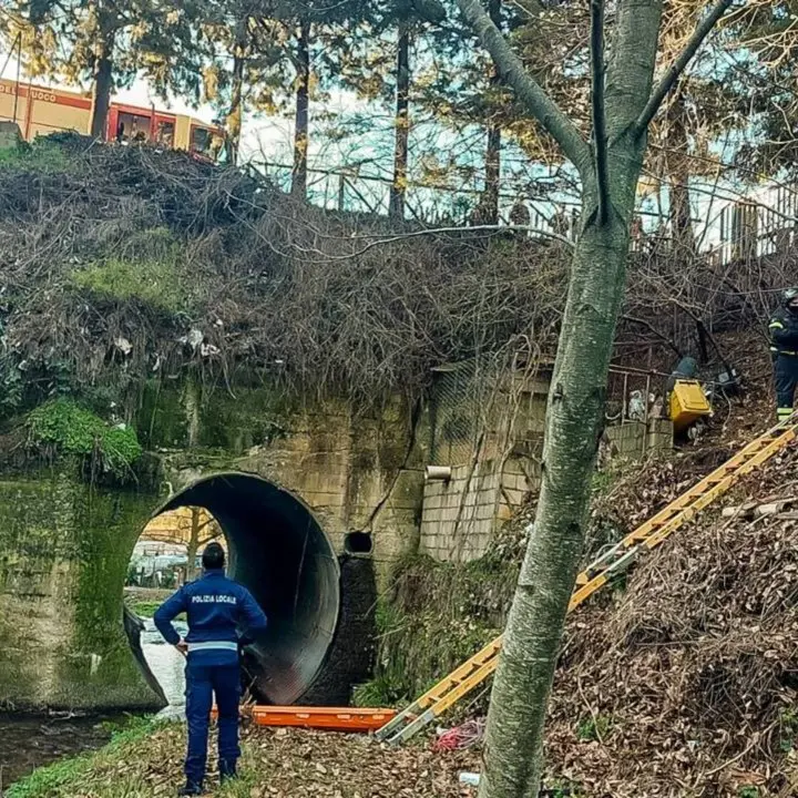 Rinvenuto ad Acri il cadavere di un giovane, indagano i carabinieri