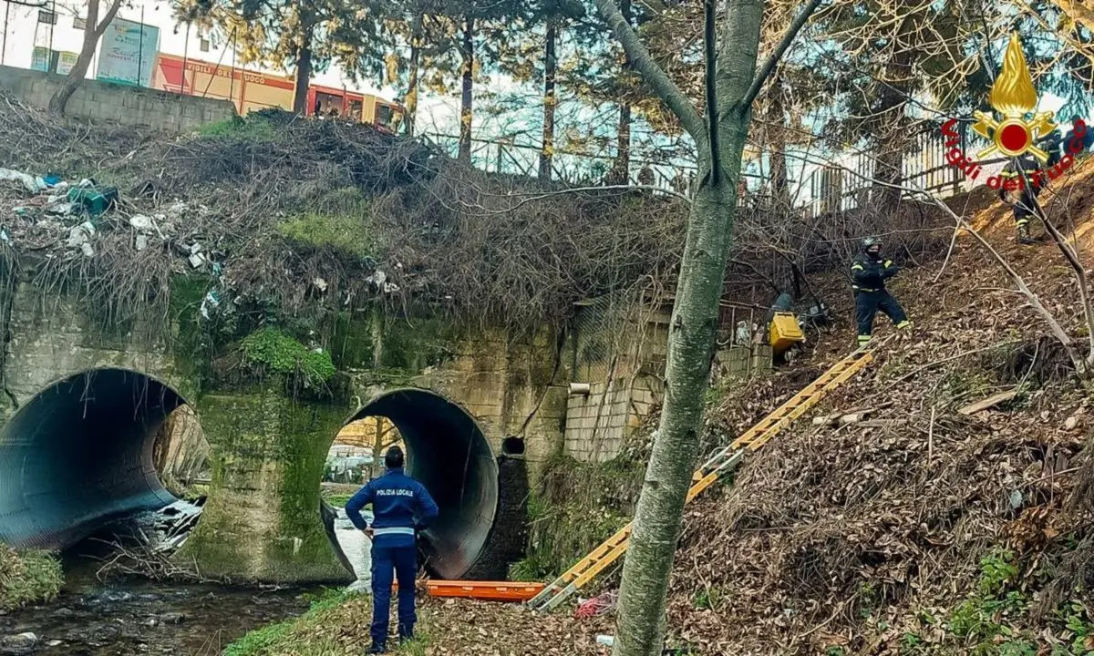 Rinvenuto ad Acri il cadavere di un giovane, indagano i carabinieri