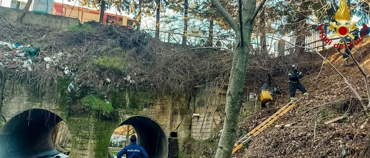 Rinvenuto ad Acri il cadavere di un giovane, indagano i carabinieri