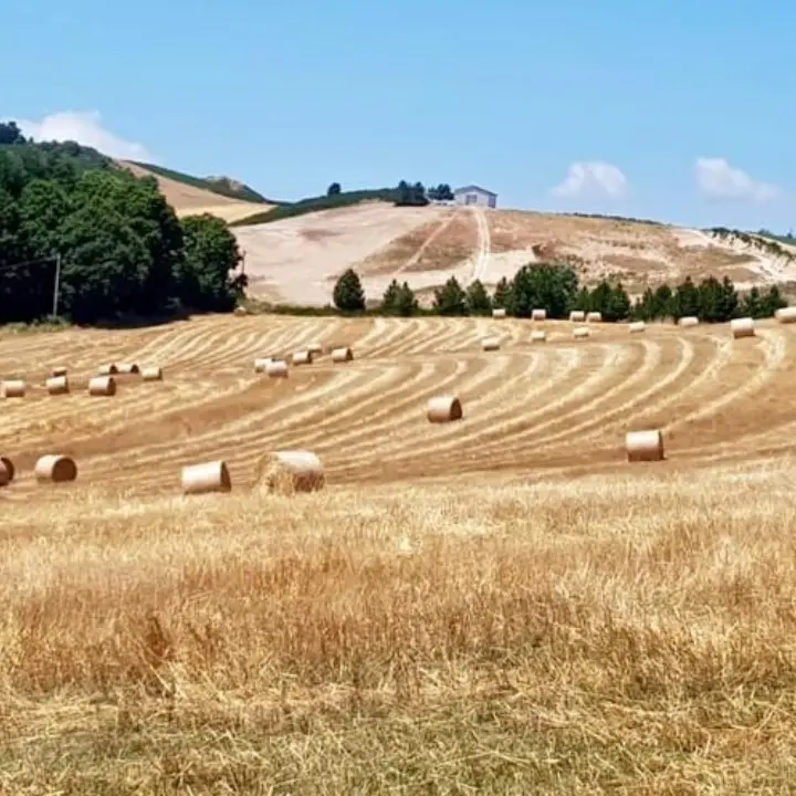 Aree interne, rilanciare Sila Crotonese e Cosentina: 13 mln di euro per uscire dalla marginalità