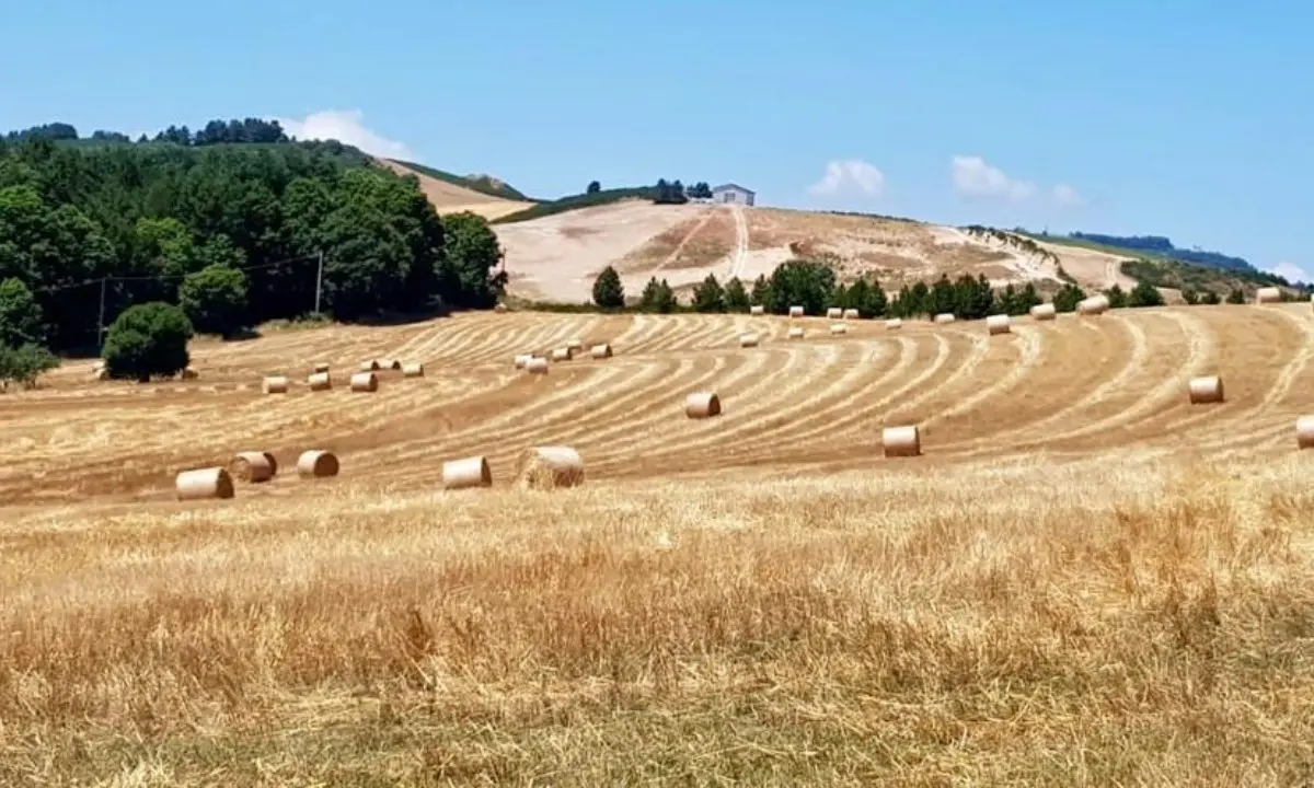 Aree interne, rilanciare Sila Crotonese e Cosentina: 13 mln di euro per uscire dalla marginalità