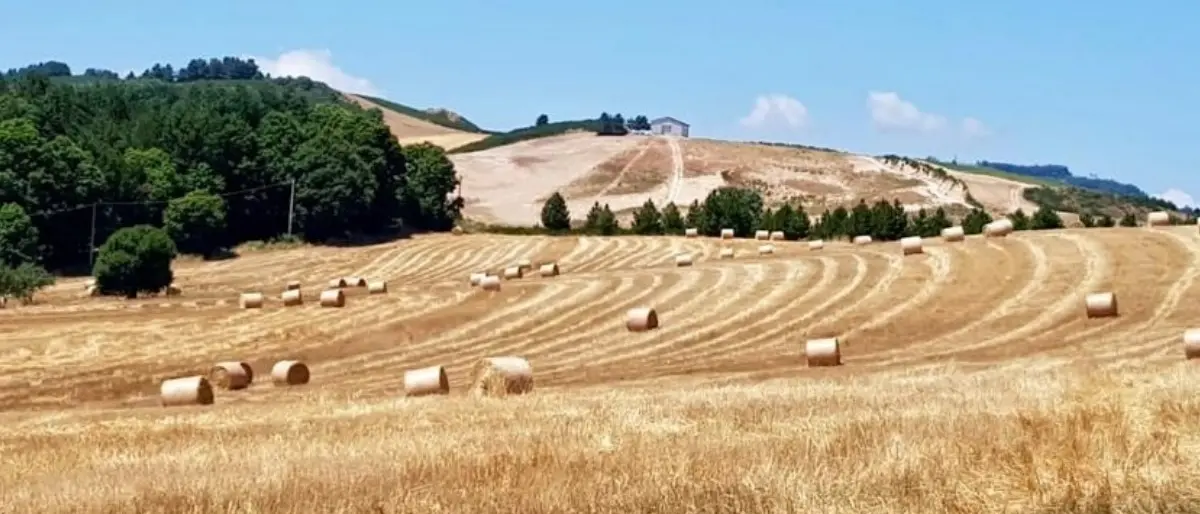 Aree interne, rilanciare Sila Crotonese e Cosentina: 13 mln di euro per uscire dalla marginalità