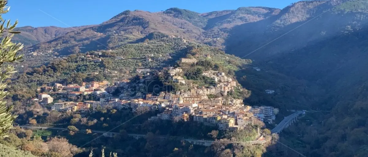 È gennaio e in Calabria sembra primavera: punte di oltre 20 gradi, ma con la Befana torna il freddo