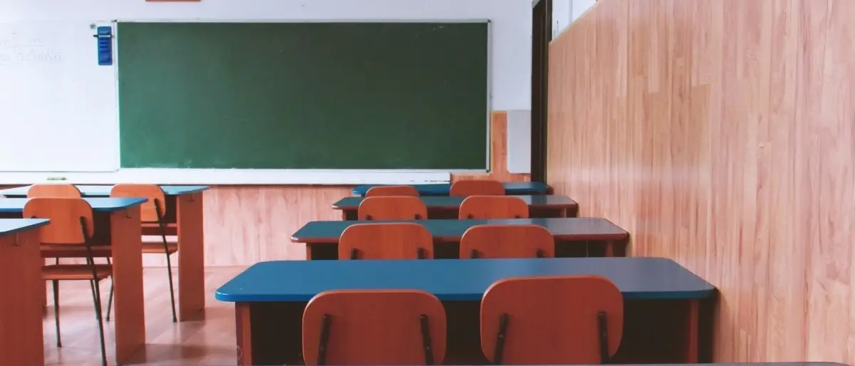 Sciopero degli studenti a Catanzaro ma non tutti sono d’accordo: «Altra protesta senza conseguenze»