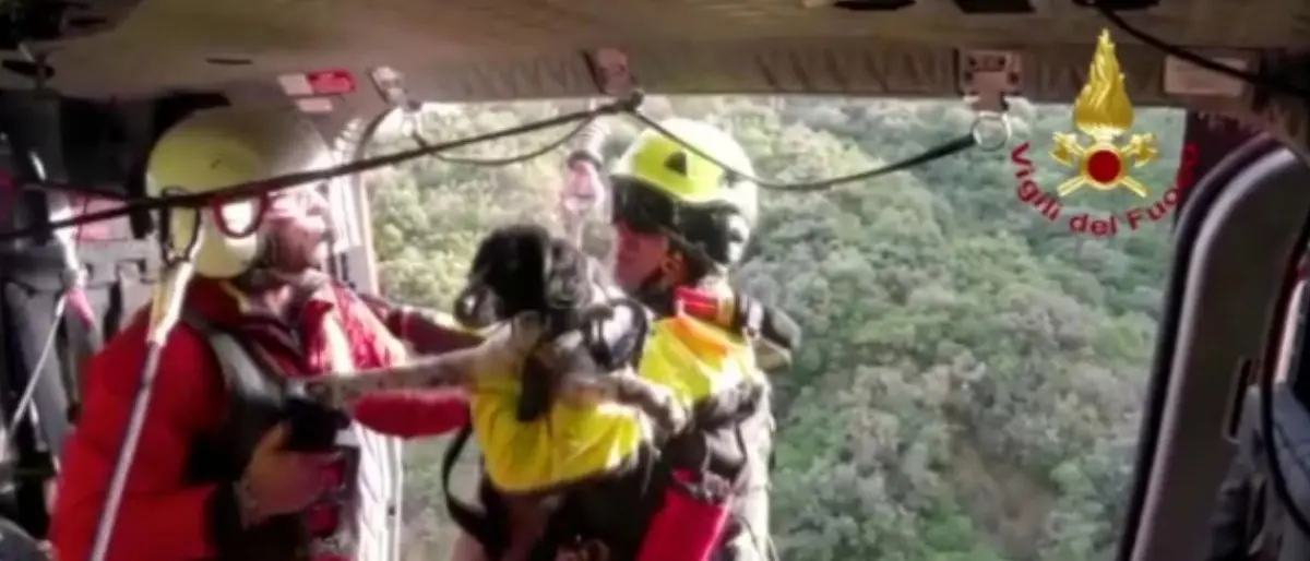 Cane in un dirupo salvato con l’elicottero: il video del recupero a Placanica