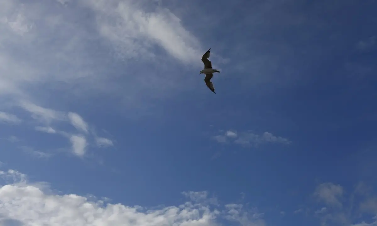 In Italia temperature in risalita nel weekend, domenica nubi sparse in Calabria