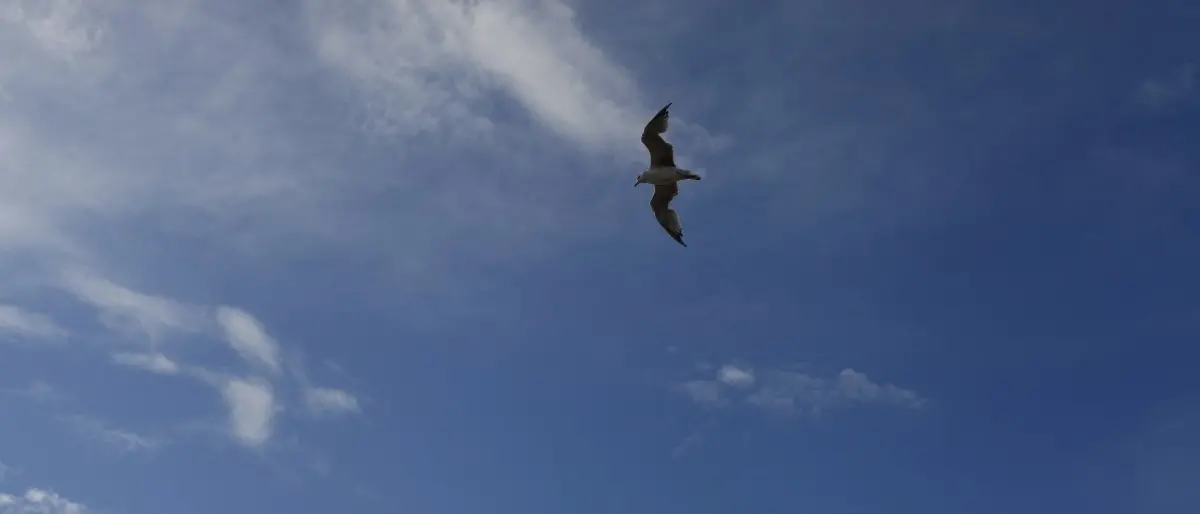 In Italia temperature in risalita nel weekend, domenica nubi sparse in Calabria