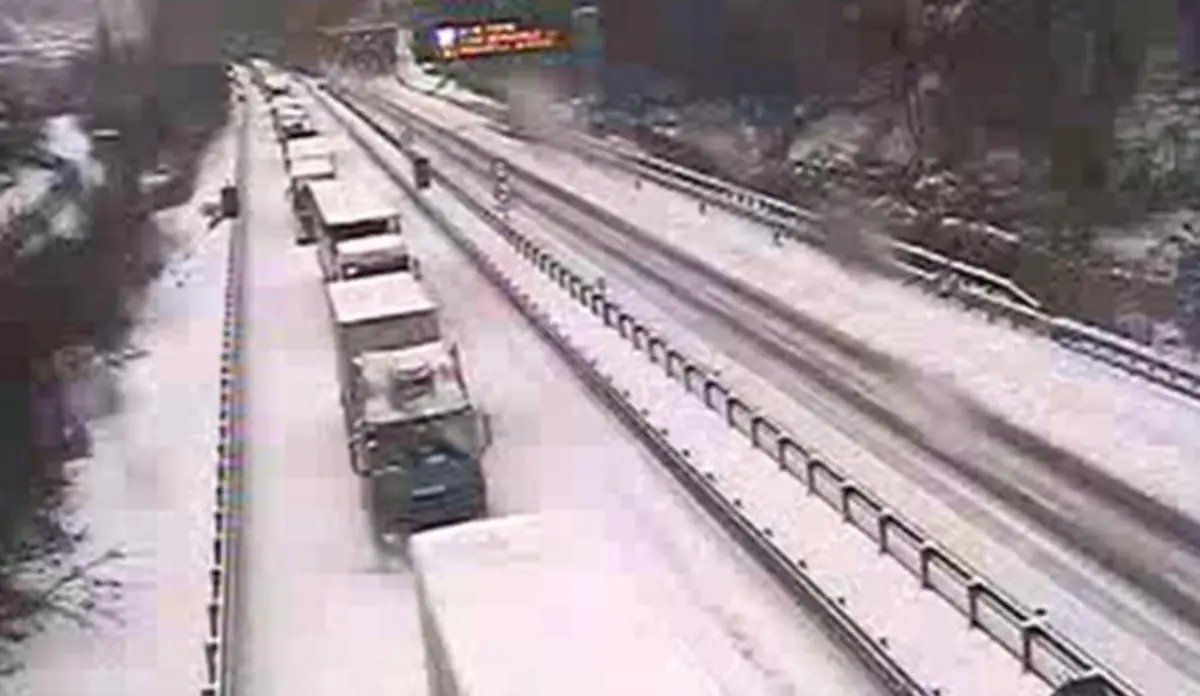 Maltempo: bufera di neve blocca auto e tir sull’A7 in Liguria. A Varese 53enne muore schiacciato da albero