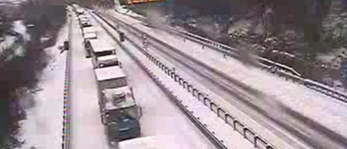 Maltempo: bufera di neve blocca auto e tir sull’A7 in Liguria. A Varese 53enne muore schiacciato da albero