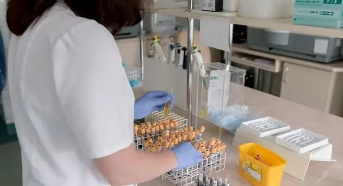 Sorgerà in Calabria un centro d'eccellenza per la produzione di anticorpi monoclonali